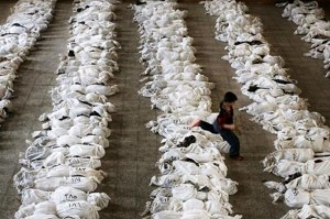 Copil cadavre Irak