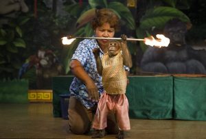 Maimuta foc danseaza radina zoologica Bangkok Thailanda